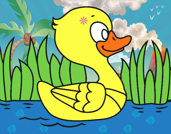 Patito de río