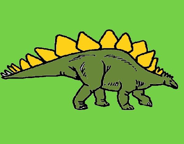 Stegosaurus