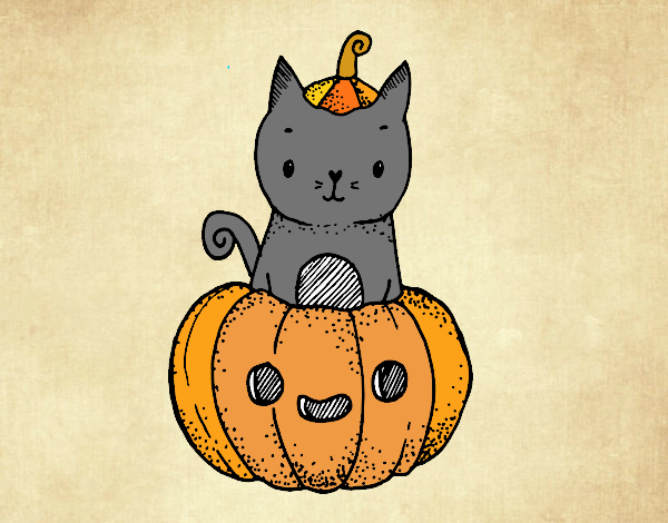 Un gatito de Halloween