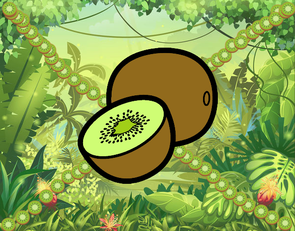 un kiwi