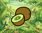 Un kiwi