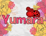 Yumara