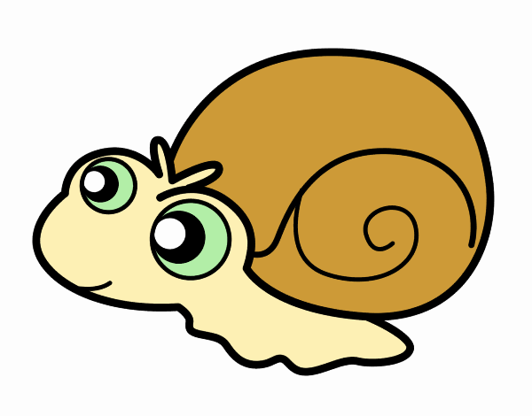 Caracol bebé