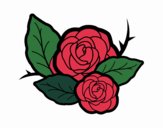 Dos rosas