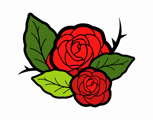 Dos rosas