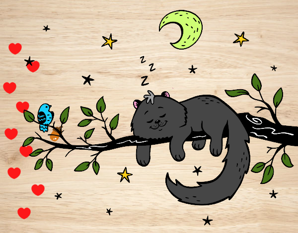 El gato y la luna