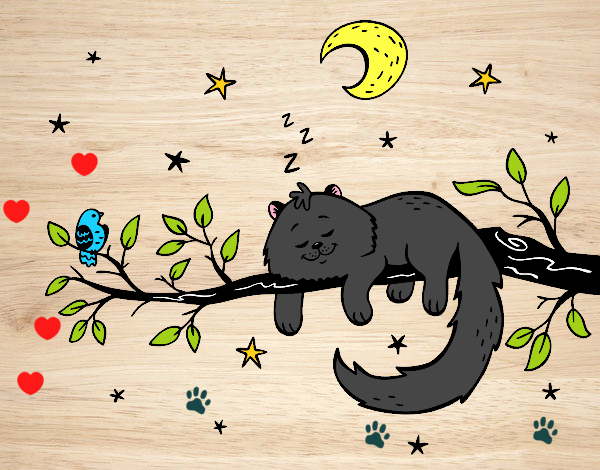 El gato y la luna