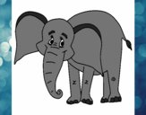 Elefante feliz