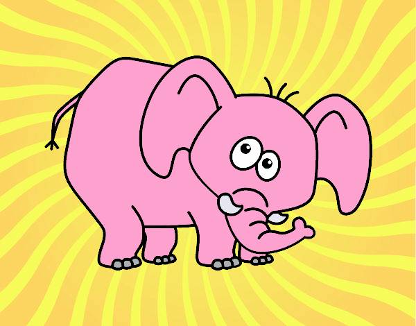 Elefante Rosado