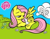 Fluttershy con un conejito