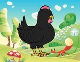 Gallina de una granja