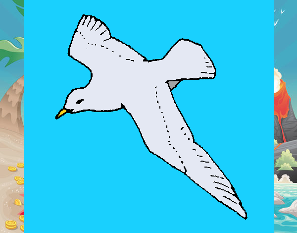 Gaviota