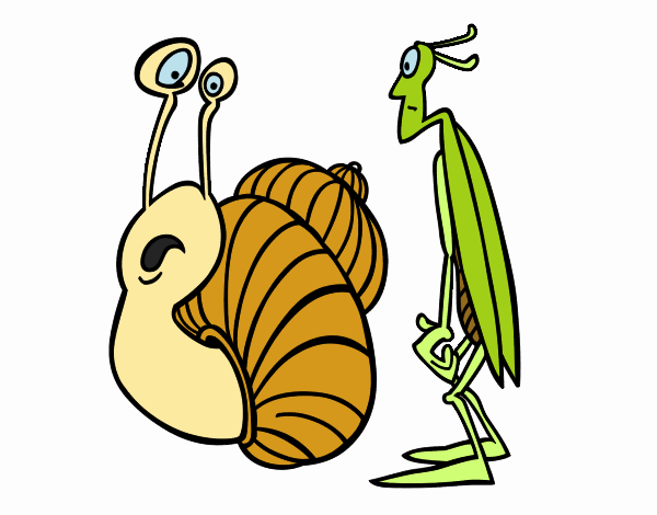 Grillo y Caracol