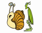 Grillo y Caracol