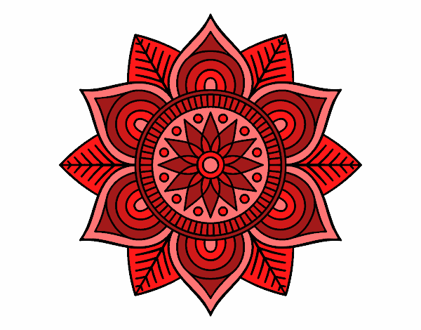 Mandala flor estelar