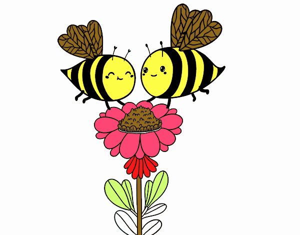 Pareja de abejas