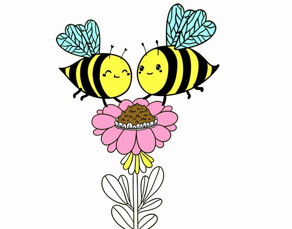 Pareja de abejas