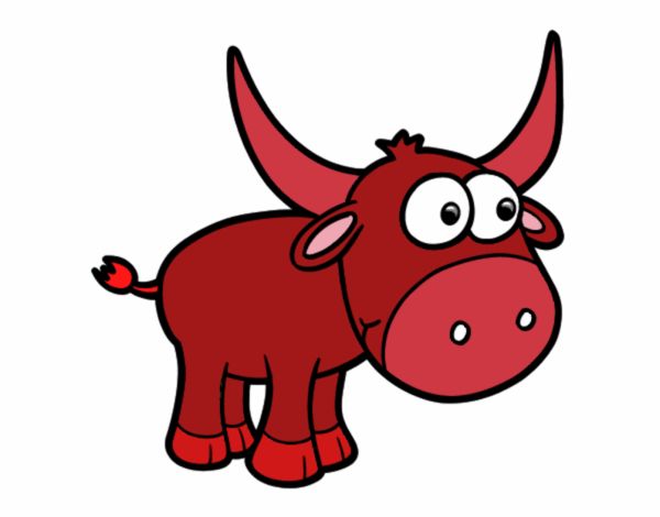 Torito