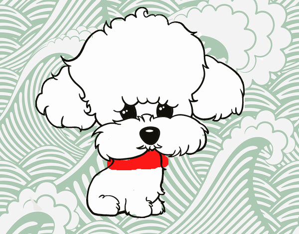 Cachorro de poodle