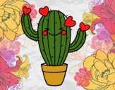 Cactus corazón