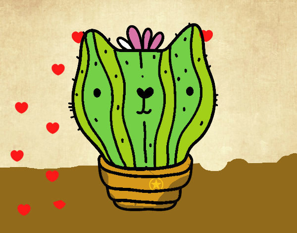 Cactus gato