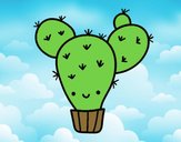 Cactus nopal