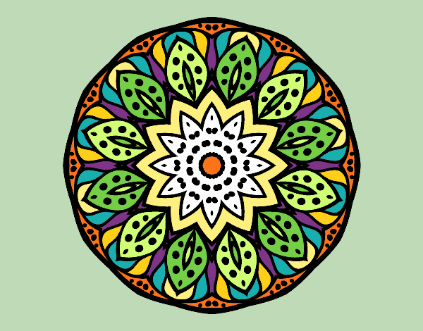 Mandala naturaleza