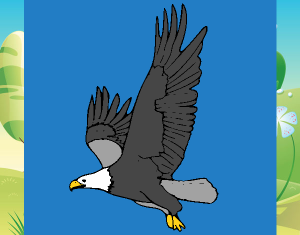 Águila volando