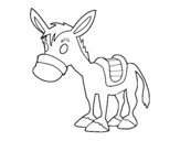 Burro de granja