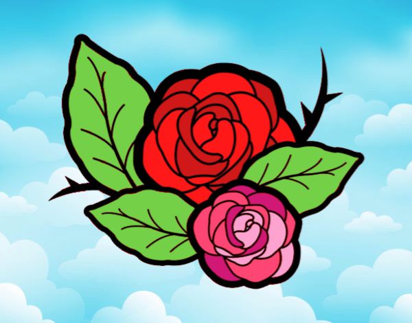 Dos rosas