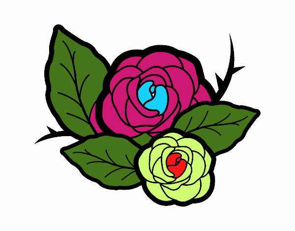 Dos rosas