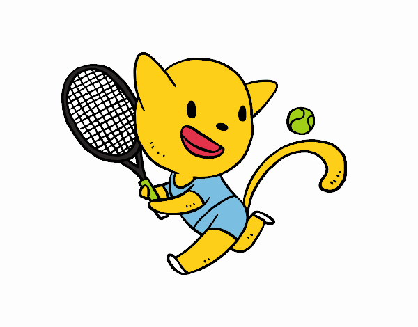 gato tenis