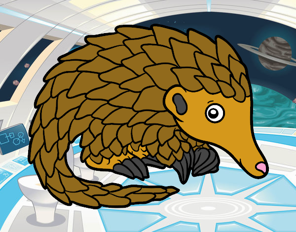 Pangolin