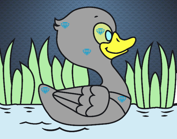 Patito de río