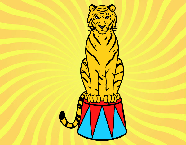 Tigre de circo