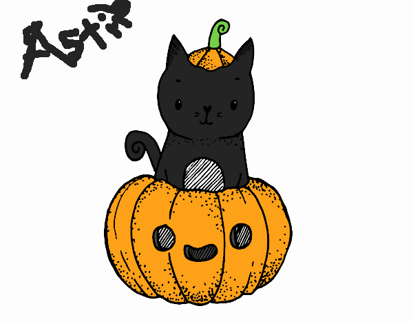 Un gatito de Halloween