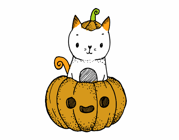 Un gatito de Halloween