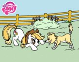 Applejack y Winona