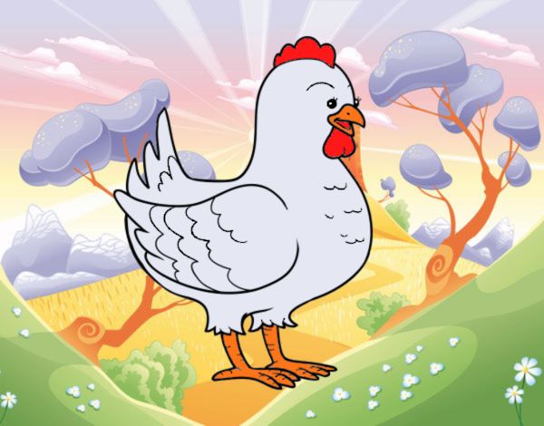 Gallina de una granja