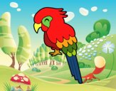 Guacamayo