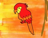 Guacamayo