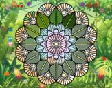 Mandala jardín vegetal