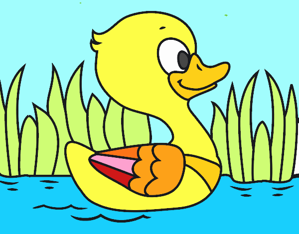 Patito de río