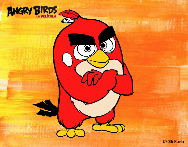 Red de Angry Birds