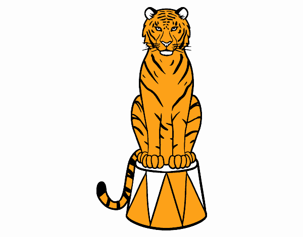 Tigre de circo