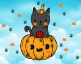 Un gatito de Halloween