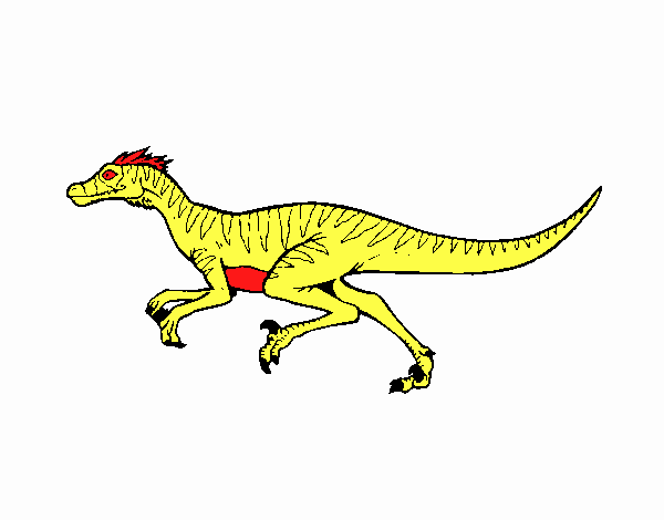 Velociraptor