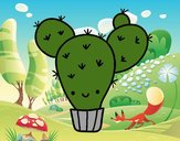 Cactus nopal