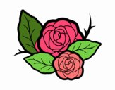 Dos rosas