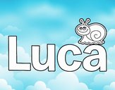 Luca